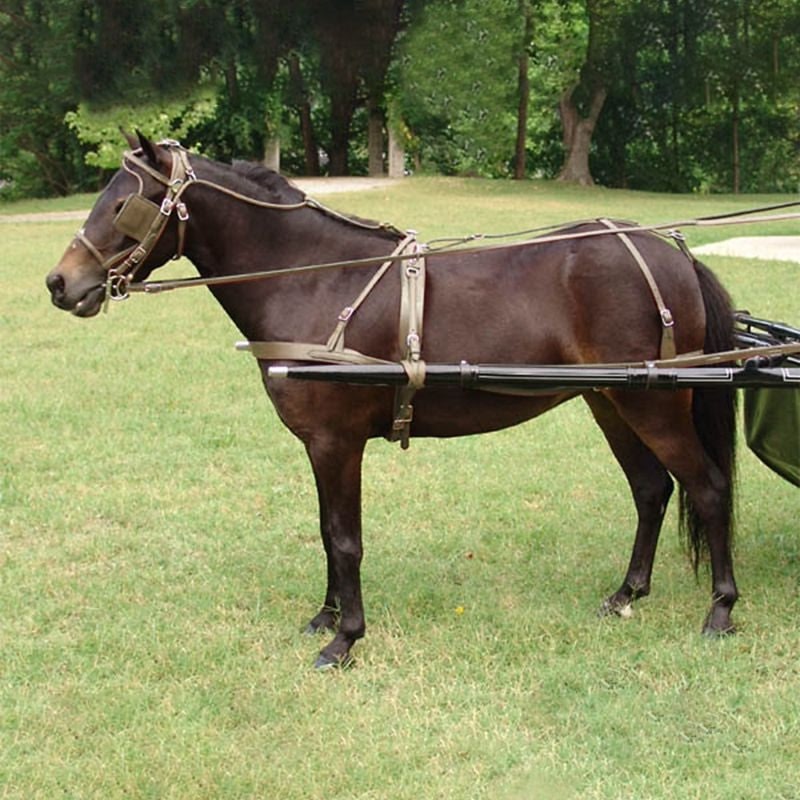 Cashel Crusader Mule Long with Ears Fly Mask Arab - Image 7