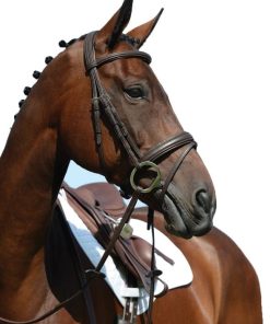 Alternative view of Collegiate Syntovia Flash Bridle