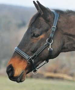 HDR Stress Free Fancy Stitch Halter