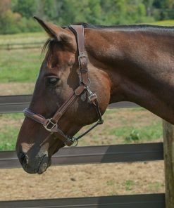 Alternative view of HDR Stress Free Fancy Stitch Halter
