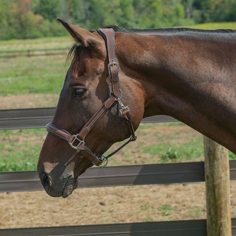 HDR Stress Free Fancy Stitch Halter - Image 2