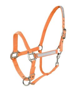 Alternative view of HorZe Reflective Halter Cob Orange