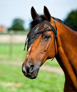 Alternative view of Horze Simple Fly Veil