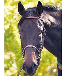 Alternative view of Henri De Rivel Advantage Bridle