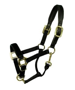 Intrepid Premium Nylon Breakaway Halter with Padded Crown/Nose