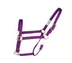 Alternative view of Deluxe 3-Ply Adjustable Nylon Halter with Snap