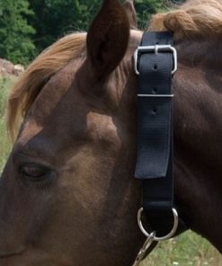 Basic Picket Line Neck Collar