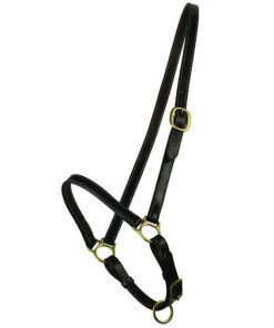 Gatsby Grooming Halter Horse Havana