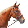 HDR Mono Crown Bridle Pad Wide Noseband