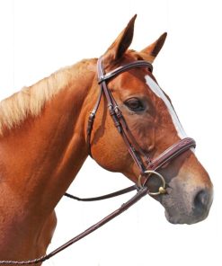 HDR Mono Crown Bridle Pad Wide Noseband