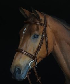 Alternative view of Collegiate CC Padded Raised Cavesson