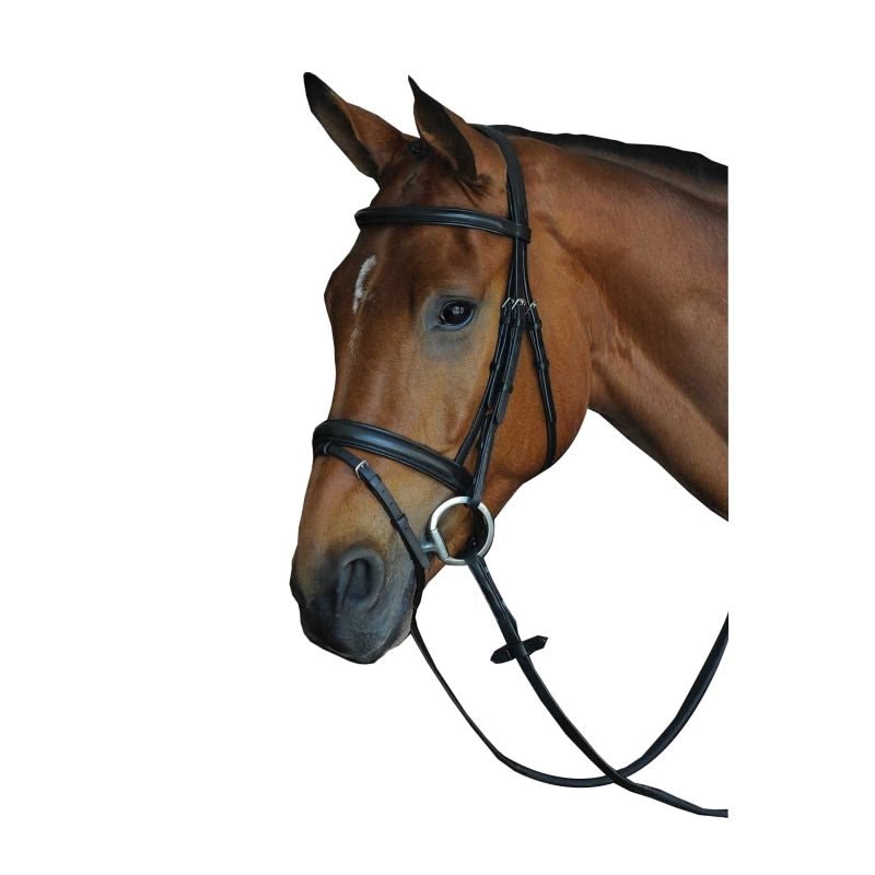 Collegiate CC Pad Raised Flash Bridle