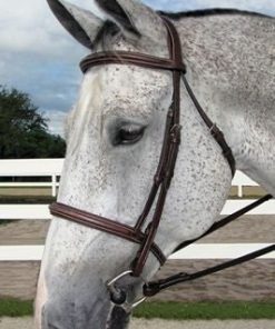 Alternative view of HDR Pro Mono Crown Fancy Padded Bridle