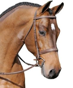 Arc de Triomphe Tribute Bridle with Reins