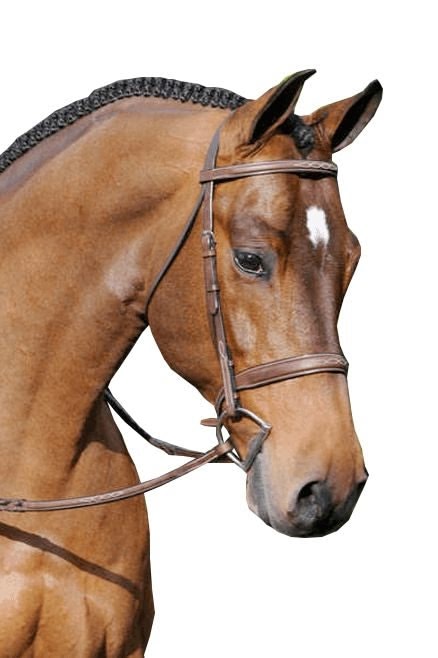Arc de Triomphe Tribute Bridle with Reins
