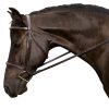 Flex Rider Raised Snaffle Bridle
