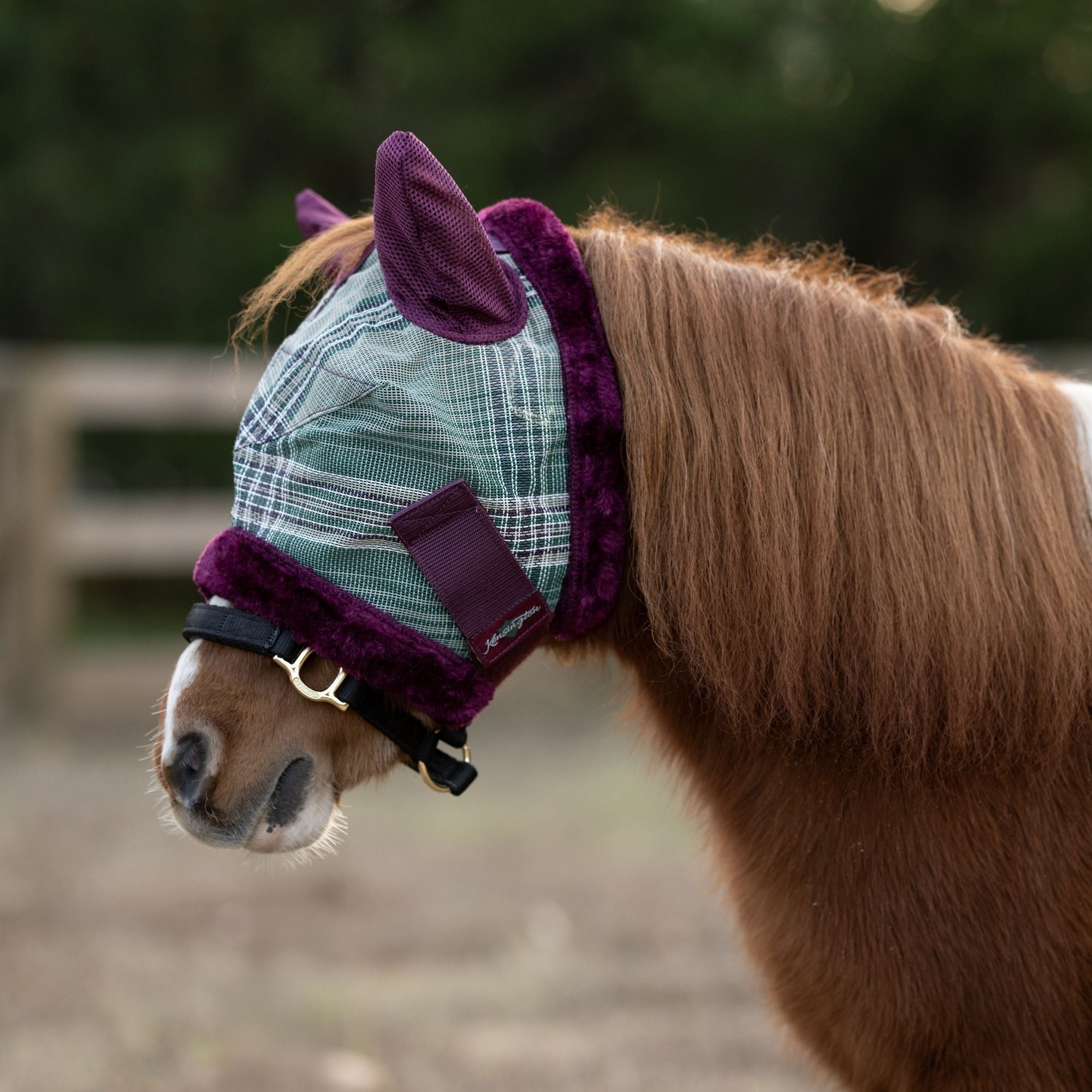Kensington Miniature Signature Fly Mask with Plush Fl - Image 9
