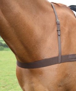 Avignon Elastic Breastgirth