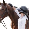 EquiVisor Sport VUE Visor/ Neck Shield Set