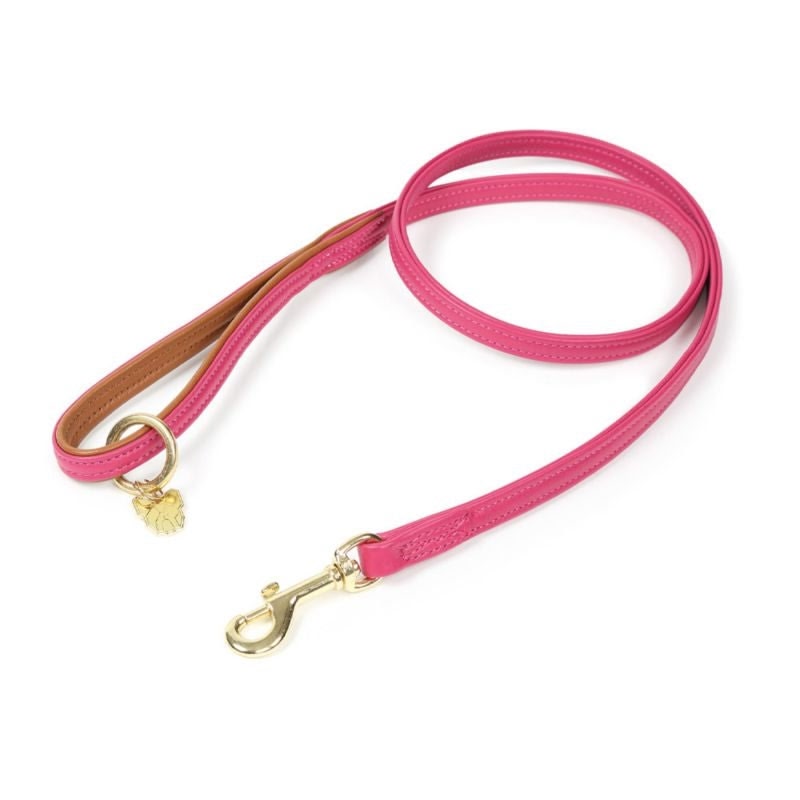 Digby and Fox Padded Leather Dog Lead - Image 5