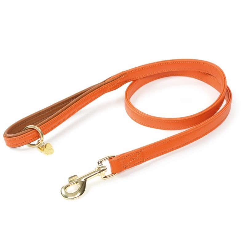 Digby and Fox Padded Leather Dog Lead - Image 3