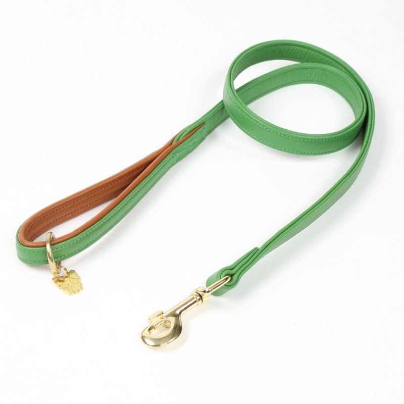 Digby and Fox Padded Leather Dog Lead - Image 7