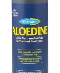 Farnam Aloedine Aloe Vera Shampoo