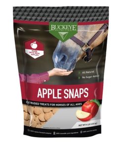 All Natural No Sugar Added Apple Snaps