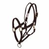 Basic Pull Back Training Halter