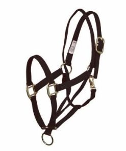 Basic Pull Back Training Halter