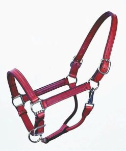 Alternative view of Halter Track 1 Inch
