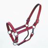 Halter Track 1 Inch