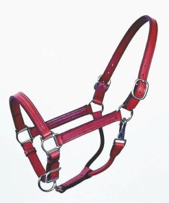 Halter Track 1 Inch