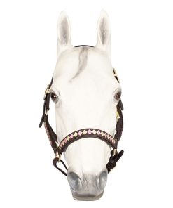 Alternative view of HDR Embroidered Buffy Havana Leather Halter
