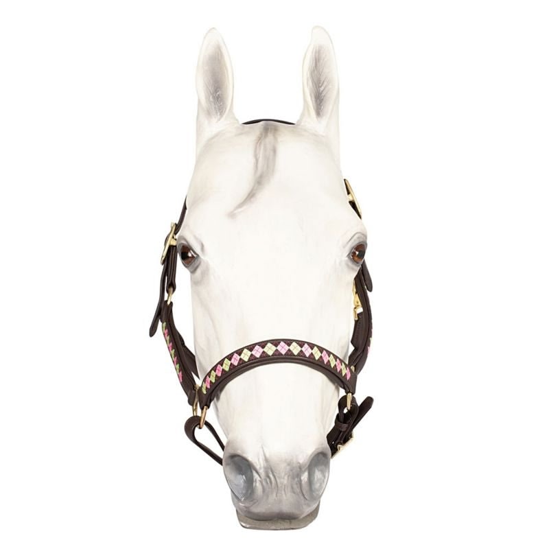 HDR Embroidered Buffy Havana Leather Halter - Image 2