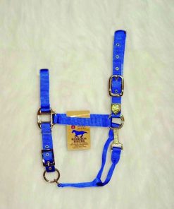 Alternative view of Hamilton Nylon Adj Halter with Snap SM Horse Black
