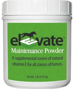Elevate Maintenance Powder 2lb