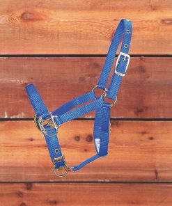 Alternative view of Halter Adjustable Chin