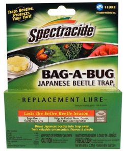 Bag A Bug Replacement Lure