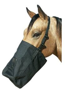 Best Friend Feed Bag