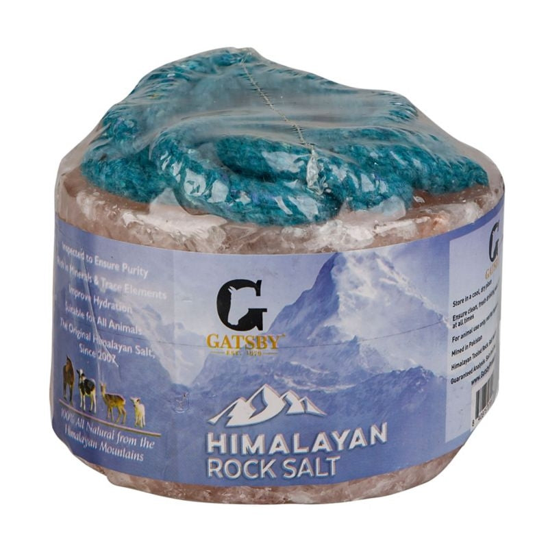 Gatsby Himalayan Rock Salt Snack - Image 2