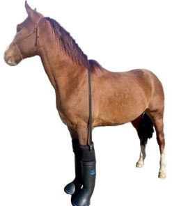 EasyCare Easyboot Ultimate Remedy Therapy Boot