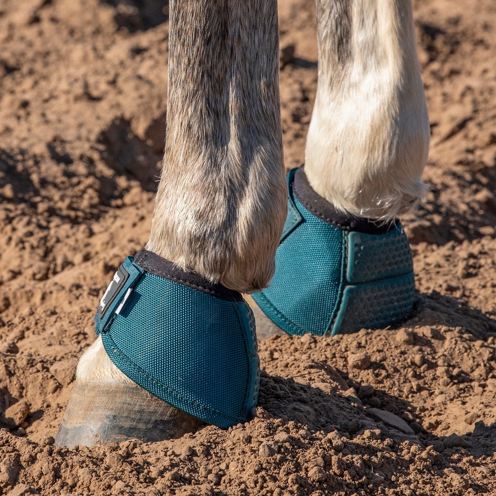 Classic Equine Flexion No-Turn Bell Boots - Image 23