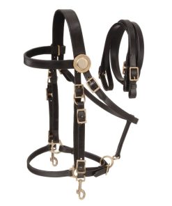 Australian Outrider Deluxe Halter Bridle with Reins