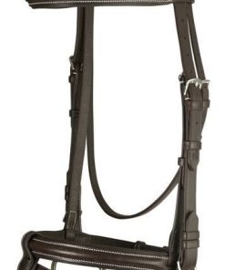 DaVinci Raise Event/Drsge Combo Bridle
