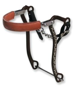 Bob Avila MI Silver Floral Hackamore