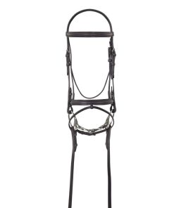 Alternative view of Camelot Lined Bridle with Flash
