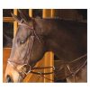 Exselle Elite Plain Raised Running Breastplate