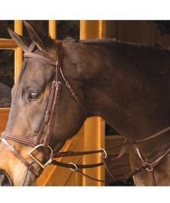 Exselle Elite Plain Raised Running Breastplate