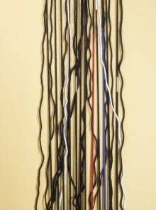 Dozen Lunge Whip Assortment